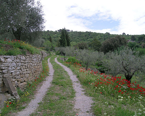 Casa Monaldi Villa in Cortona Toscana con piscina nelle colline cortonesi